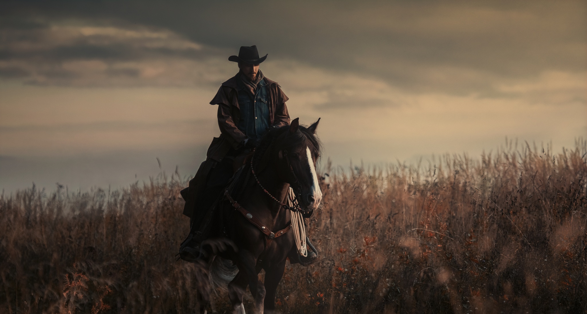 Western,Cowboy,Portrait